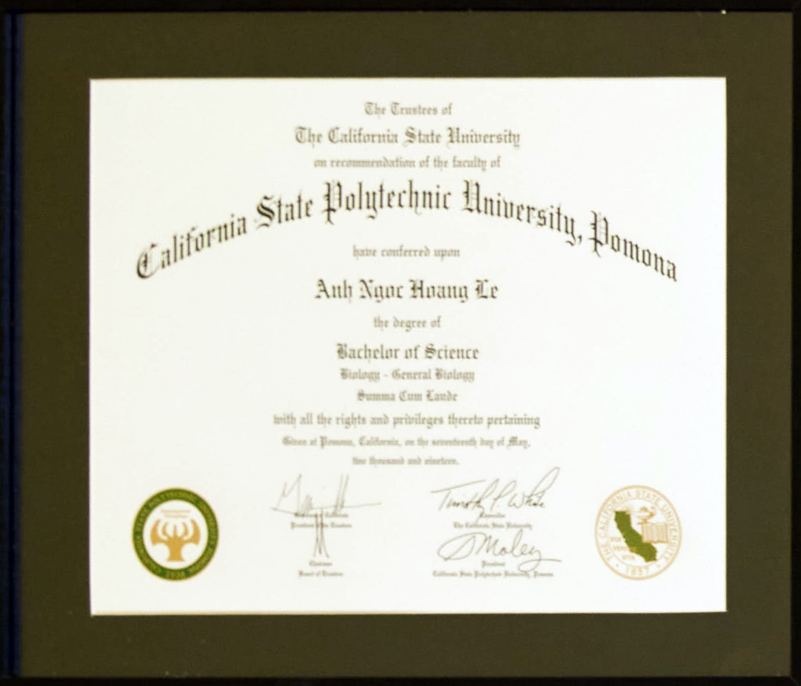 Bachelor of science