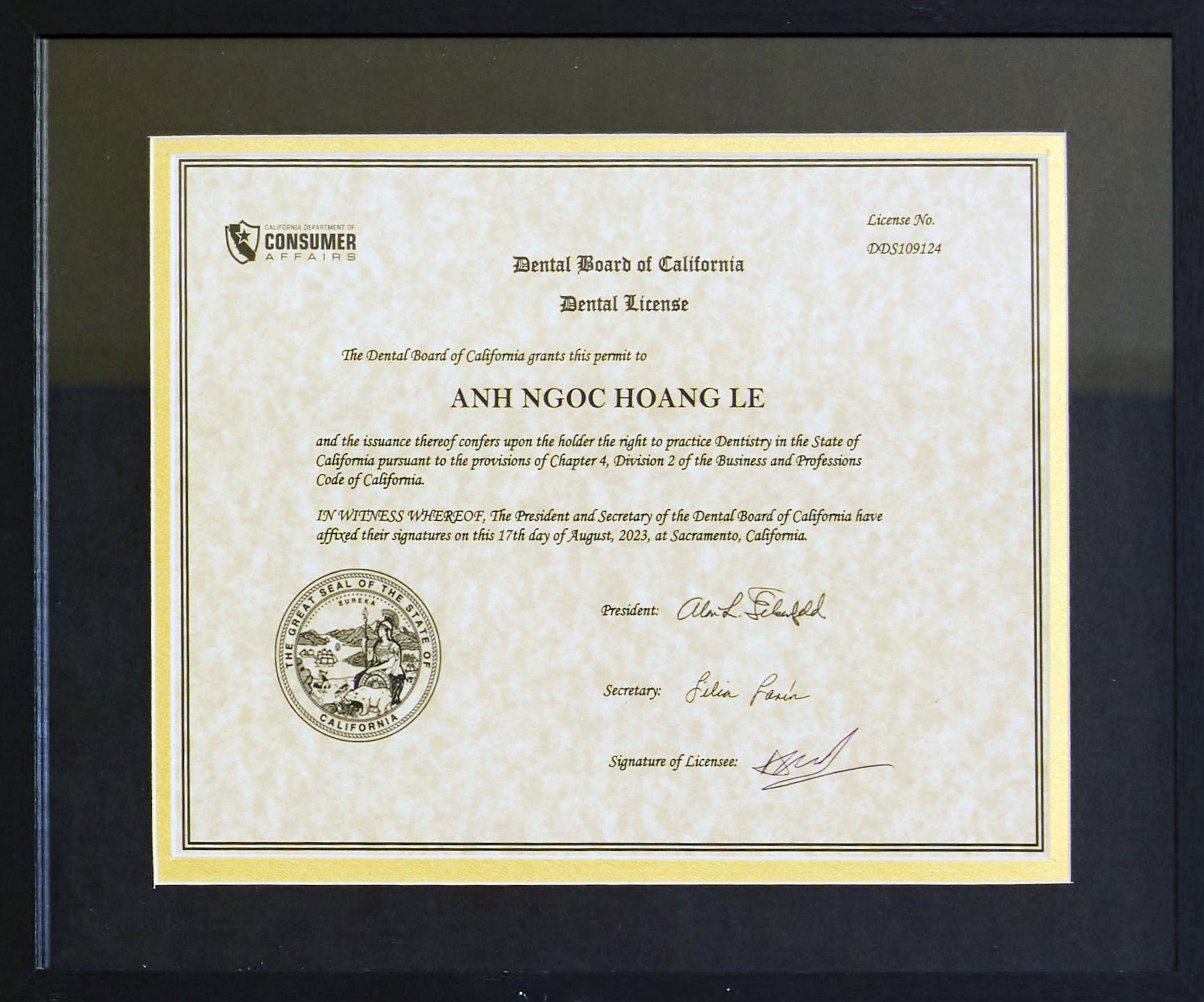 dental license